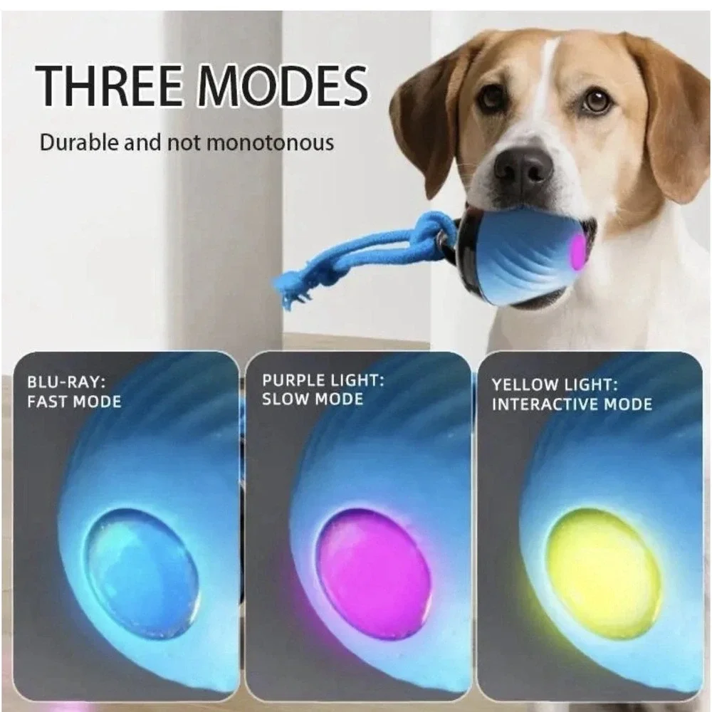 THE CHASE Anti-Boredom Moving Dog Ball | 3-Mode Smart Exercise Toy